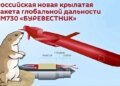 Ракета «Буревестник». Суслик, которого никто не видит, а он есть