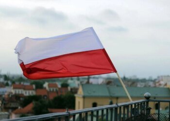 Польща планує завершити створення системи захисту безпілотників за два роки