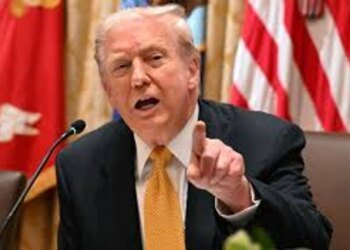 Трамп не бажає аби США надавали Україні довгострокові гарантії безпеки – Skynews