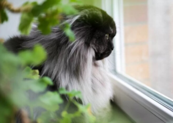 Украину накроет масштабный антициклон: Диденко назвала даты похолодания и дождей