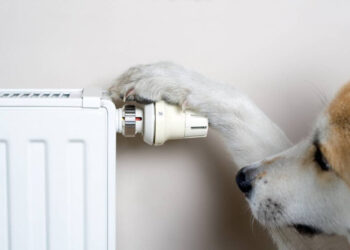 Со счетчиками и без них: как формируется тариф на отопление для киевлян