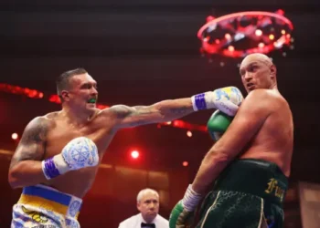 Ф’юрі назвав подальший шлях Усика