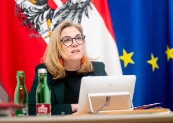 “Суверенитет и территориальная целостность”: в МИД Австрии назвали условия для мира в Украине