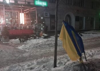 Пошкодив державну символіку та погрожував поліції: у Запоріжжі затримали нетверезого чоловіка на День Соборності України