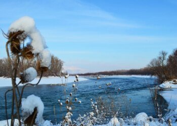 Частина Закарпаття може залишитися без газу через танення снігу та підйом води у Тисі