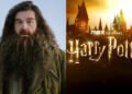 Ник Фрост написал имя “Хагрид” 7000 раз, чтобы получить роль в сериале “Гарри Поттер”