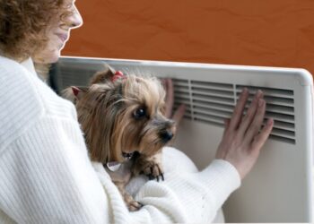 Киевляне уже живут в “постапокалипсисе”: Попенко отреагировал на призывы Кличко к эвакуации