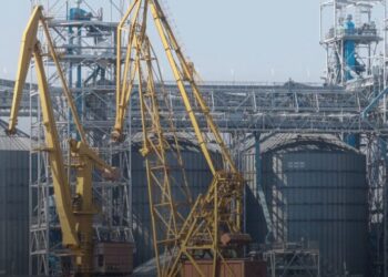 Украина в “белом списке” ЕС: результаты аудита, которые ждал агросектор