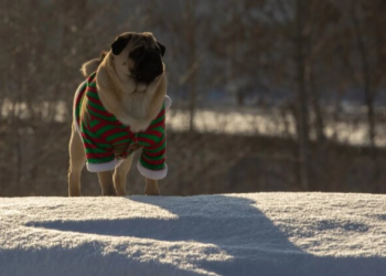 На Украину надвигается “черноморская” влага: синоптики объявили желтый уровень опасности
