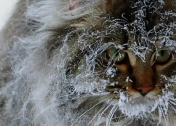 Крижаний удар і розморозка: погода на тиждень у Дніпрі та області