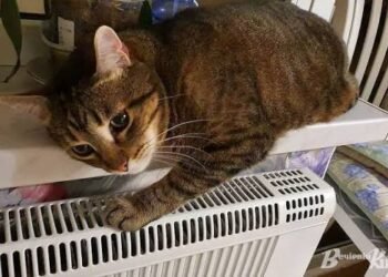 Вода і тепло зникли у різних районах Дніпра: що відбувається