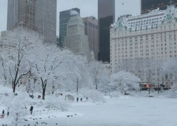 Аномальні морози в Нью-Йорку: кількість жертв серед бездомних зросла до 17 осіб
