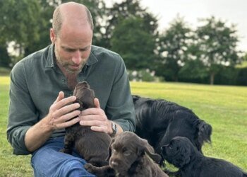 Принцеса Уельська підтвердила поповнення в родині: у Кейт і Вільяма з’явилося цуценя