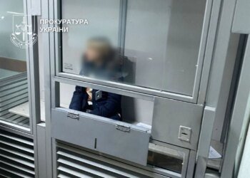 Екстрадовану з Німеччини учасницю схеми з сурогатним материнством судитимуть у Києві