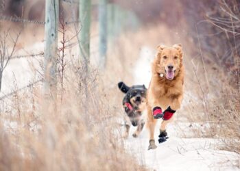 Антициклон “растает”: Диденко назвала дату, когда в Украину ворвется +10