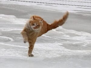 Обережно, сильний вітер: у Дніпрі та області 19 лютого оголошено штормове попередження