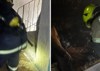 Пожежа в багатоповерхівці: на Дніпропетровщині врятували чоловіка