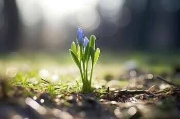 Культурний вибух у Дніпрі: майстер-класи, лекції та шоу на 14–15 березня