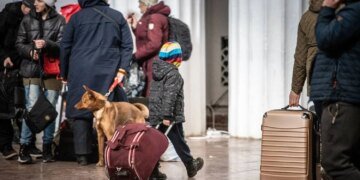 У ЄС розглядають можливість продовження тимчасового захисту для українців на шостий рік – Euractiv