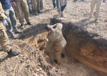 На Рівненщині розпочалися пошукові роботи на місці поховання жертв Другої світової війни