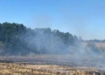 За підпал сухих рослин — за ґрати: на Дніпропетровщині судитимуть пенсіонера