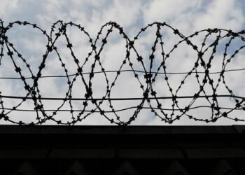 “Сидеть могут, а защищать Украину – нет”: как бюрократия блокирует мобилизацию иностранцев-заключенных