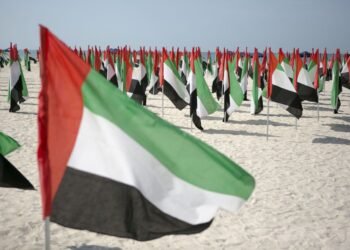 ОАЭ пообещали присоединиться к оборонной миссии США в Ормузском проливе