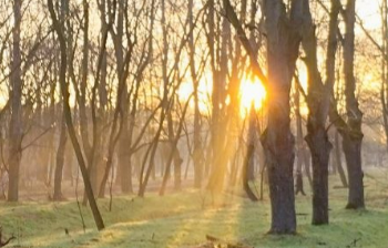 Такого не було 134 роки: Дніпро оновив рекорд