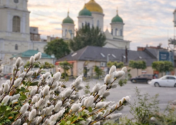 “Котики” вже з’явились: коли та як у Дніпрі відзначатимуть Вербну неділю