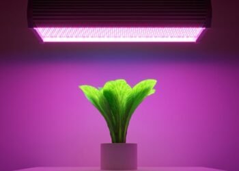 5 суперфудів які легко додати в раціон для кращого самопочуття