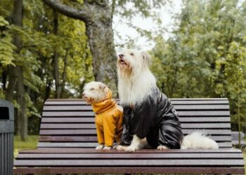 Мокрый снег в марте: Диденко предупредила, каким регионам он грозит ближайшими ночами