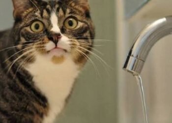 У Дніпрі раптово зникла вода: одразу кілька районів під ударом аварії