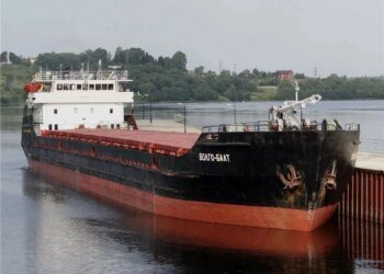 Гауляйтер сальдо заявив про затонуле в Азовському морі судно з пшеницею – є загиблий і зниклі безвісти