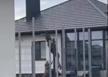 На Волині люди у формі скинули чоловіка з даху будинку – відео і реакція ТЦК
