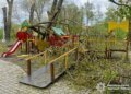 Дерева впали на дитячий майданчик на Буковині, травмовано двох дівчаток