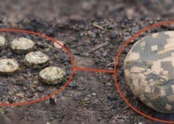 Ворог дистанційно замінував територію біля школи в Херсоні – мер