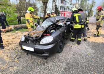У Запоріжжі дерево впало на авто та вбило 39-річного водія під час негоди