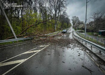 Негода в Україні забрала життя 3 людей, 7 постраждали, частина 19 областей без електрики