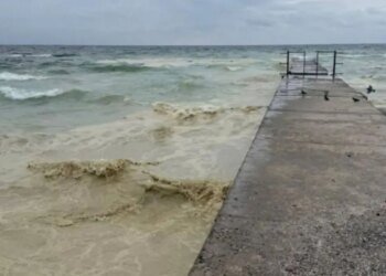 Забруднення Чорного моря олією – еколог пояснив наслідки удару рф по портовій інфраструктурі