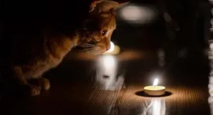 Де у Дніпрі та області 23 квітня буде відсутнє світло: адреси