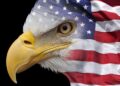 Изменение стратегии: Зеленин и Романенко о постимперской модели США