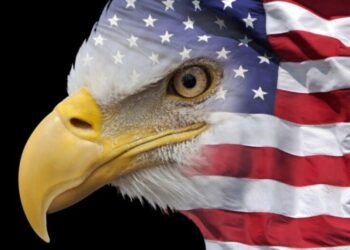Изменение стратегии: Зеленин и Романенко о постимперской модели США