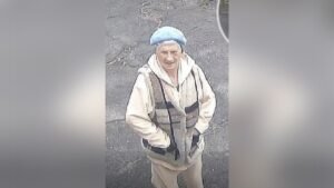 Допоможіть знайти: у Дніпрі розшукують безвісти зниклу 86-річну жінку