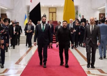 Оборона и продовольствие: Зеленский заявил о трехсторонней встрече Украина-Сирия-Турция