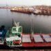Россияне дронами атаковали судно в Черном море, которое шло в Украину