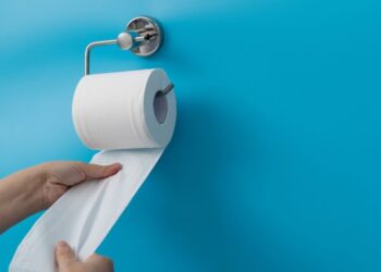 В мире массово отказываются от туалетной бумаги: что приходит на замену
