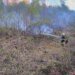На Закарпатті спалахнула лісова пожежа, полум'я охопило 15 га
