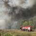 Під Києвом триває триває ліквідація масштабної лісової пожежі, вогонь охопив 70 га