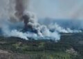 Масштабна пожежа на Чернігівщині після обстрілів рф повернула у бік росії – "Ліси України"
