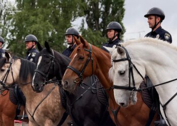 У Києві та низці міст України на вулиці повернулися вело-, мото- та кінні патрулі